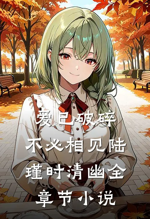 爱已破碎，不必相见陆瑾时清幽全章节小说