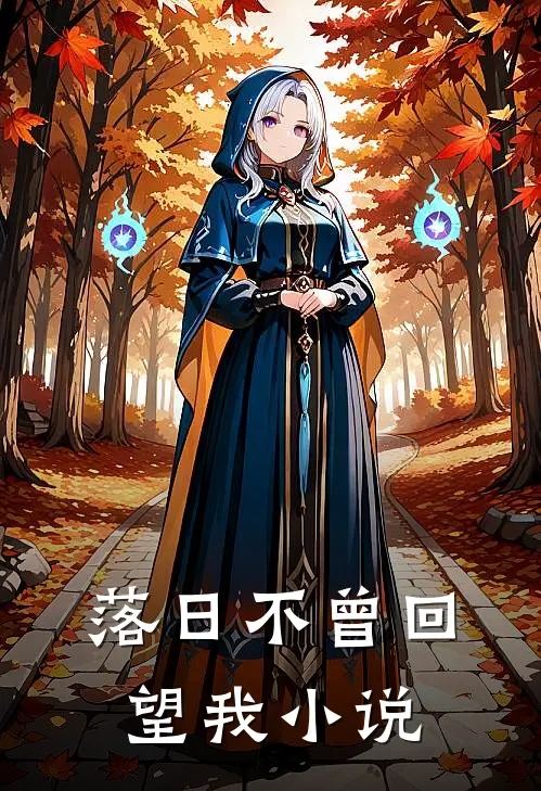 落日不曾回望我小说