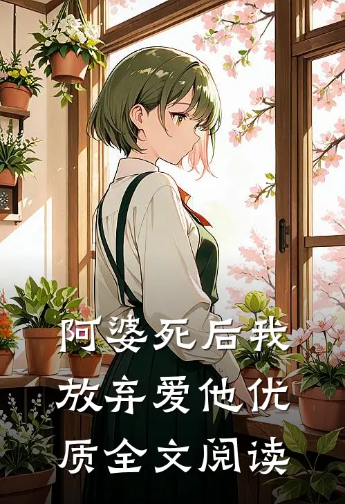 阿婆死后我放弃爱他优质全文阅读