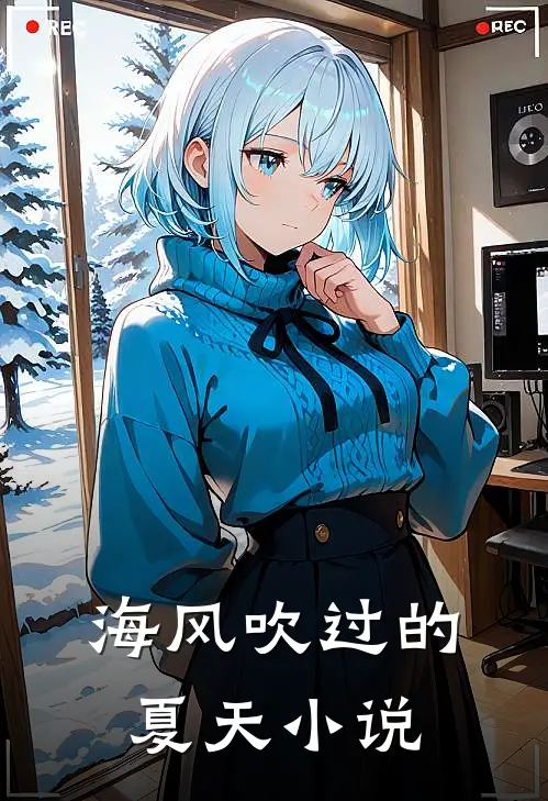 海风吹过的夏天小说