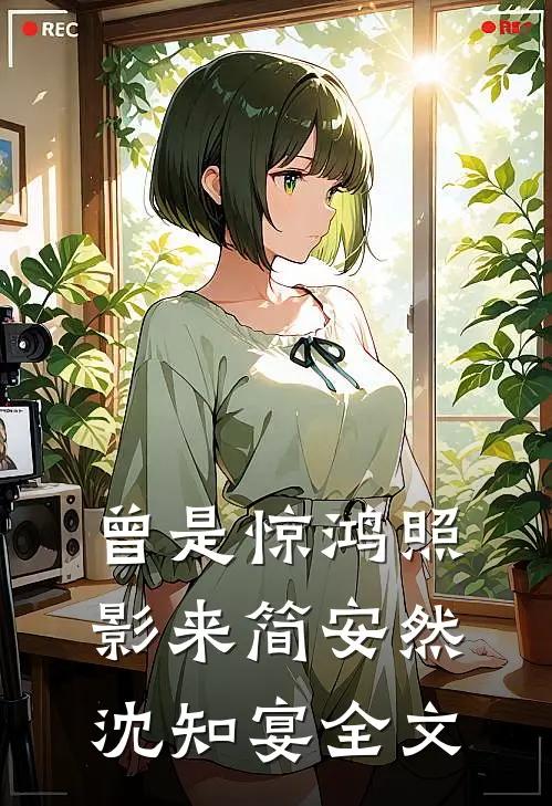 曾是惊鸿照影来简安然沈知宴全文