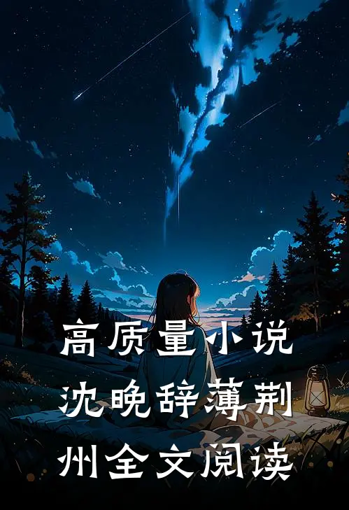 高质量小说沈晚辞薄荆州全文阅读