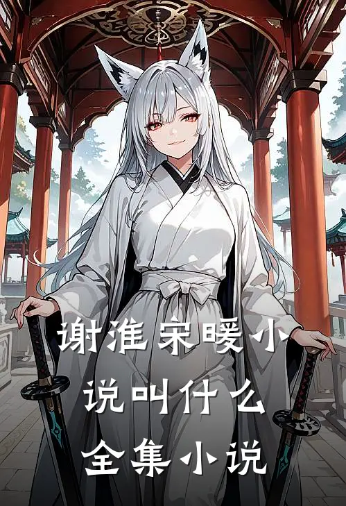 谢淮宋暖小说叫什么全集小说
