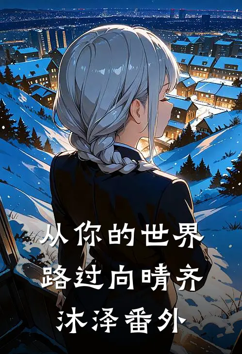 从你的世界路过向晴齐沐泽番外