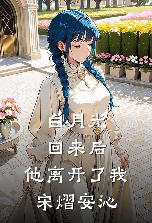白月光回来后，他离开了我宋熠安沁