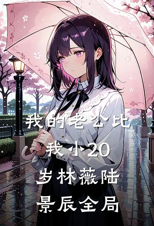 我的老公比我小20岁林薇陆景辰全局