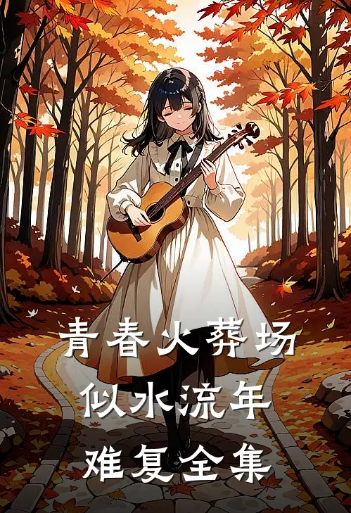 青春火葬场-似水流年难复 全集