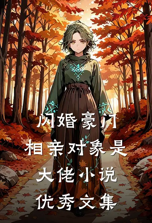 闪婚豪门:相亲对象是大佬小说优秀文集