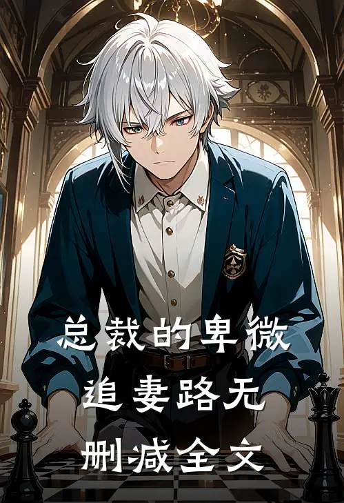 总裁的卑微追妻路无删减全文