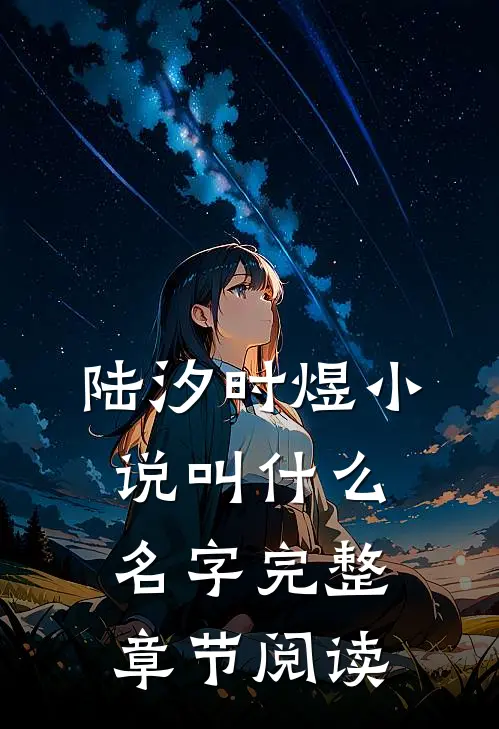 陆汐时煜小说叫什么名字完整章节阅读