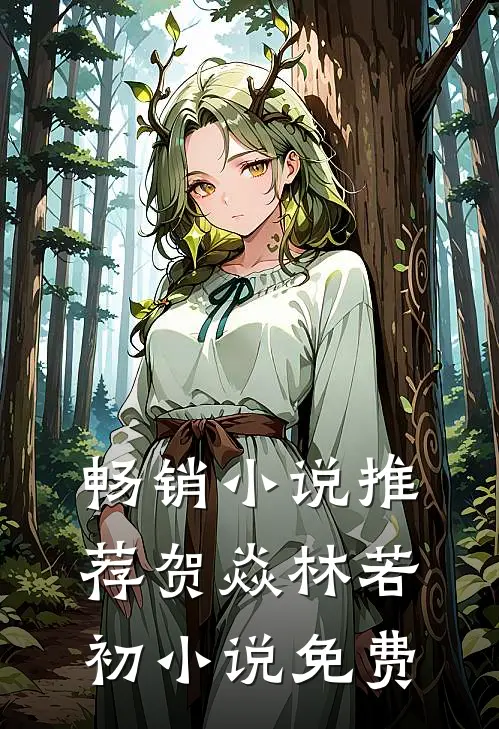 畅销小说推荐贺焱林若初小说免费