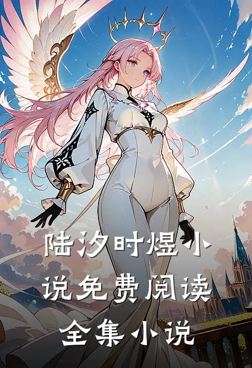 陆汐时煜小说免费阅读全集小说