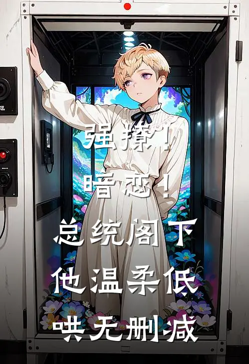 强撩！暗恋！总统阁下他温柔低哄无删减