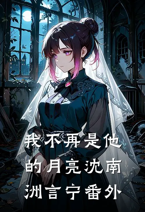 我不再是他的月亮沈南洲言宁番外
