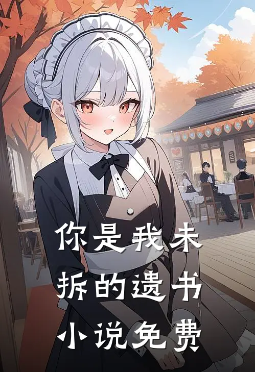 你是我未拆的遗书小说免费