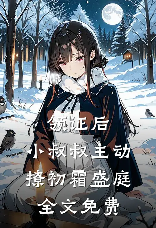 领证后，小叔叔主动撩初霜盛庭全文免费