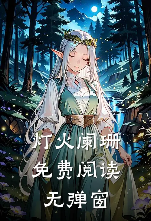 灯火阑珊免费阅读无弹窗