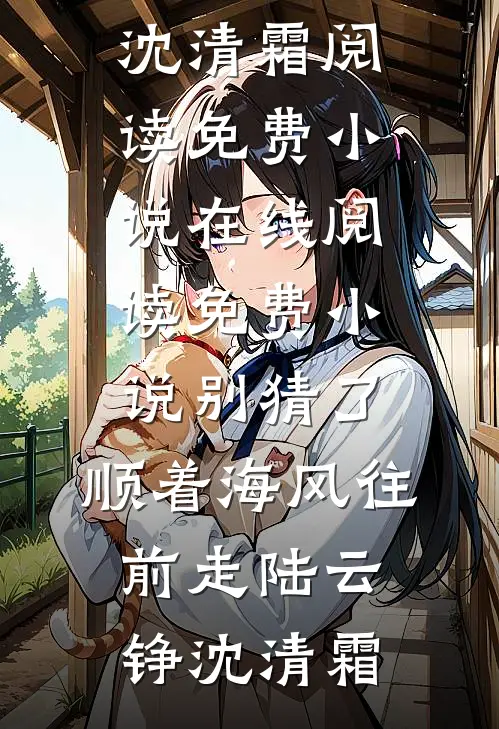 别猜了，顺着海风往前走陆云铮沈清霜阅读免费小说_在线阅读免费小说别猜了，顺着海风往前走(陆云铮沈清霜)