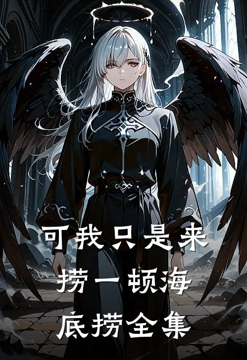 可我只是来捞一顿海底捞全集