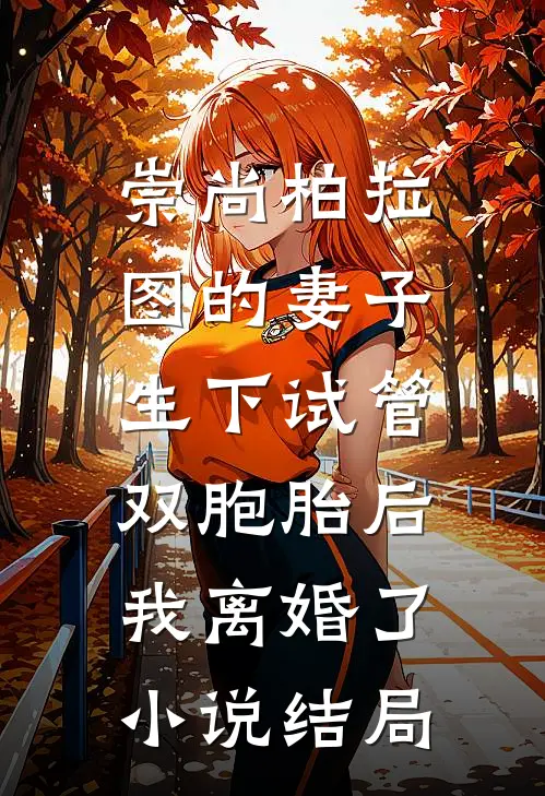 崇尚柏拉图的妻子生下试管双胞胎后，我离婚了小说结局