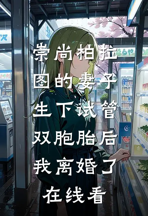 崇尚柏拉图的妻子生下试管双胞胎后，我离婚了在线看
