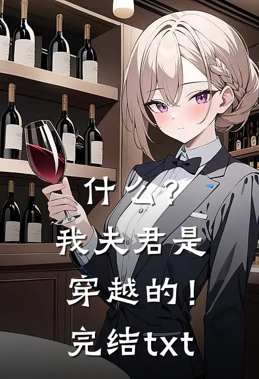 什么？我夫君是穿越的！完结txt