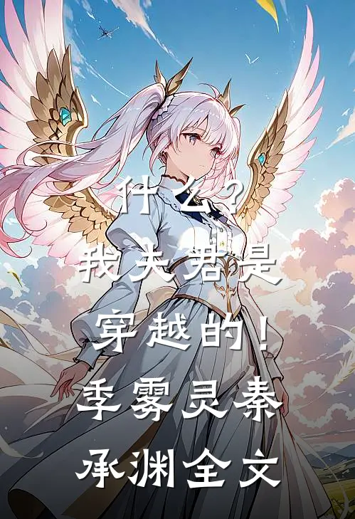 什么？我夫君是穿越的！季雾灵秦承渊全文