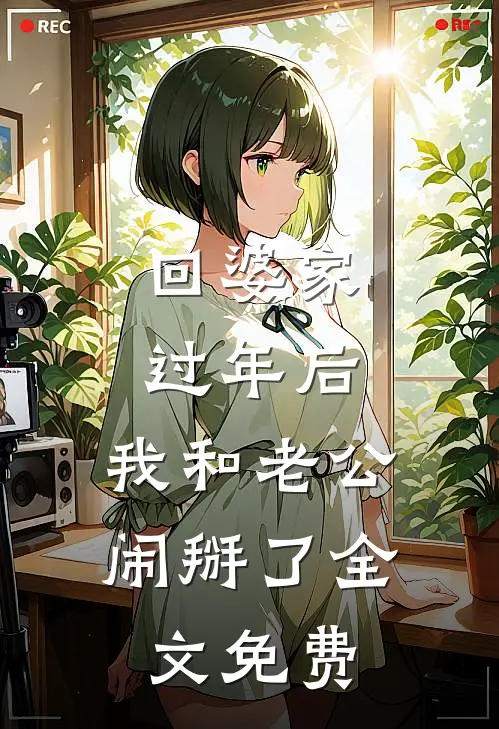 回婆家过年后，我和老公闹掰了全文免费