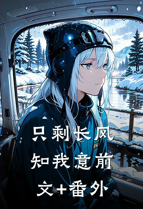 只剩长风知我意前文+番外