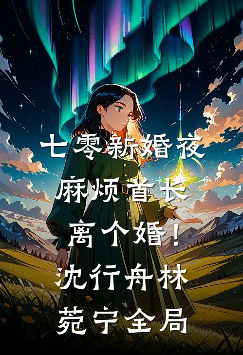 七零新婚夜，麻烦首长离个婚！沈行舟林菀宁全局