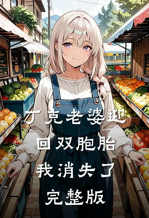 丁克老婆迎回双胞胎，我消失了完整版