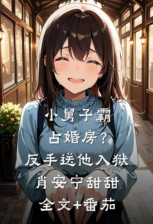 小舅子霸占婚房？反手送他入狱肖安宁甜甜全文+番茄