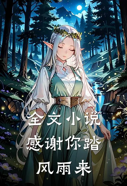 全文小说感谢你踏风雨来