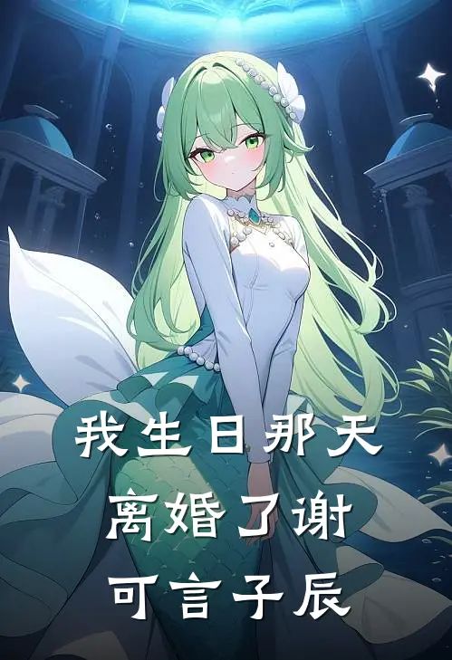 我生日那天，离婚了谢可言子辰