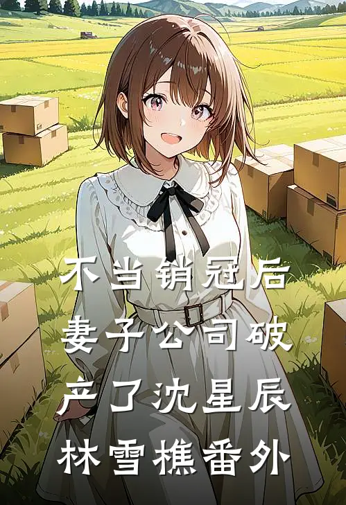 不当销冠后，妻子公司破产了沈星辰林雪樵番外