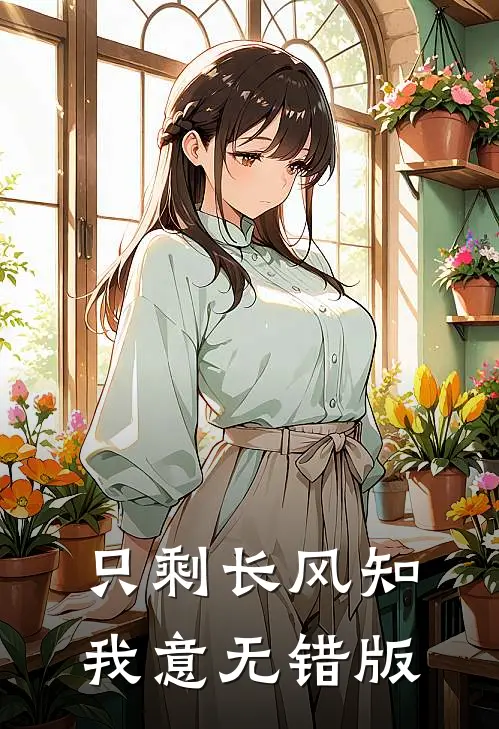 只剩长风知我意无错版