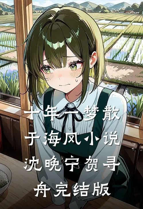十年一梦散于海风小说沈晚宁贺寻舟完结版