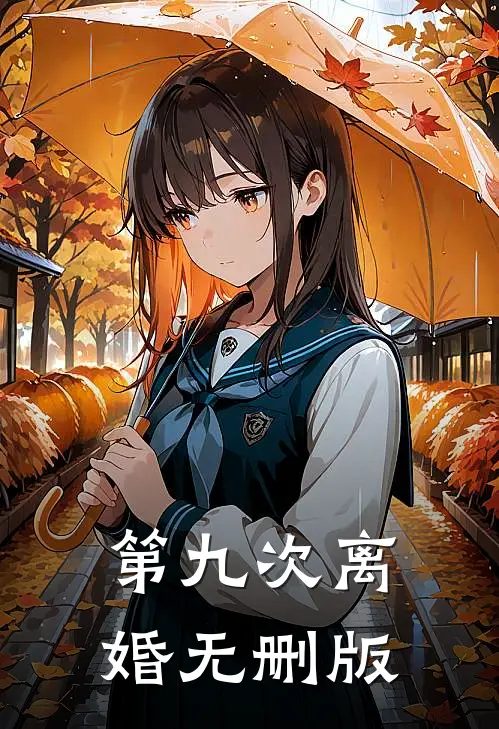 第九次离婚无删版