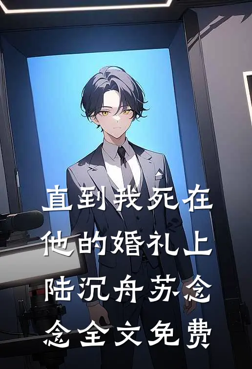 直到我死在他的婚礼上陆沉舟苏念念全文免费