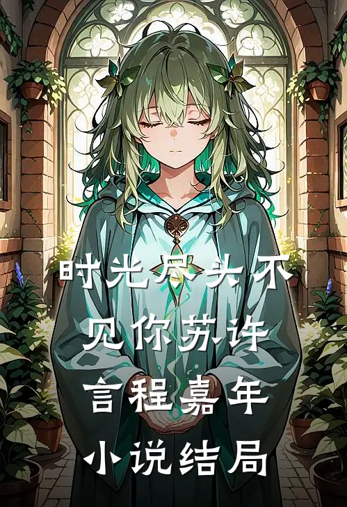 时光尽头不见你苏许言程嘉年小说结局