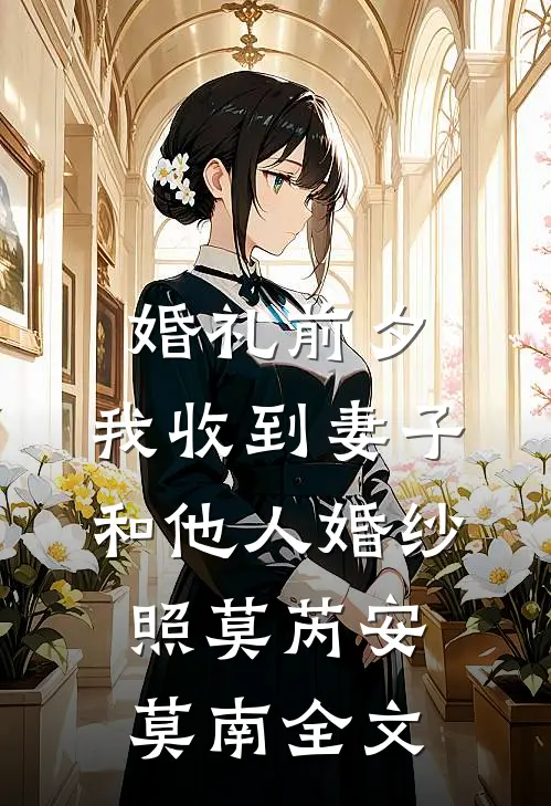 婚礼前夕，我收到妻子和他人婚纱照莫芮安莫南全文
