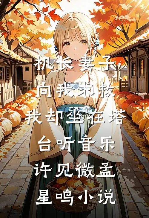 机长妻子向我求救，我却坐在塔台听音乐许见微孟星鸣小说