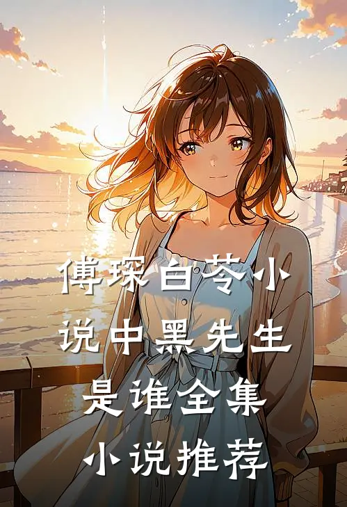 傅琛白苓小说中黑先生是谁全集小说推荐