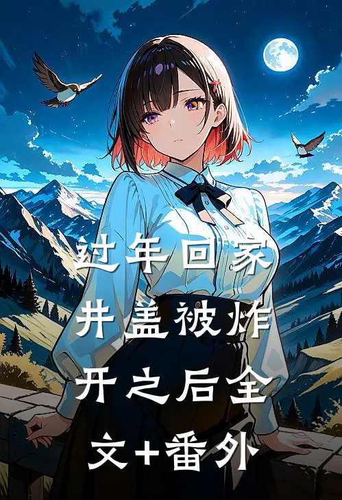 过年回家井盖被炸开之后全文+番外