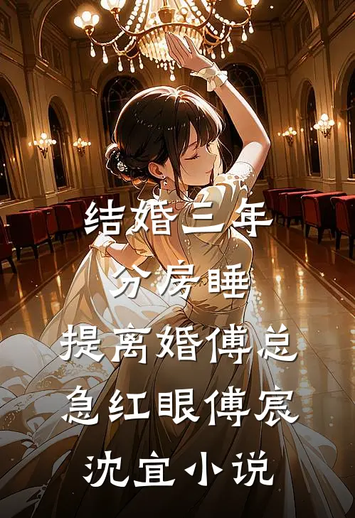 结婚三年分房睡，提离婚傅总急红眼傅宸沈宜小说