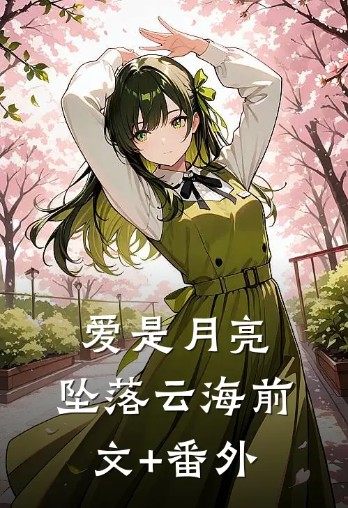 爱是月亮，坠落云海前文+番外