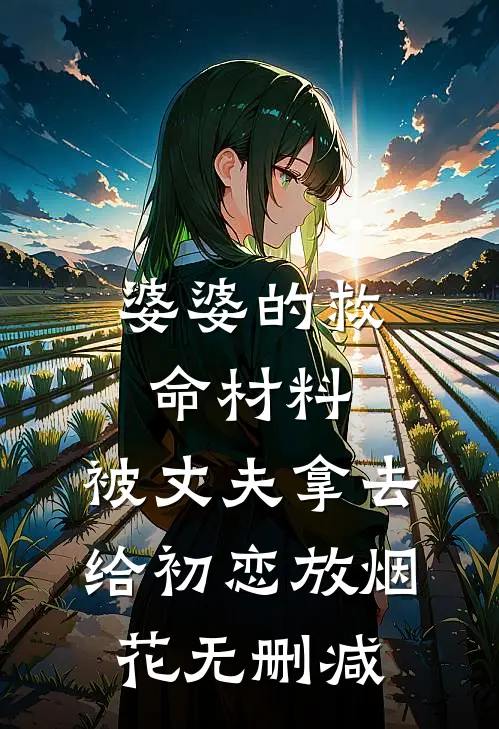 婆婆的救命材料，被丈夫拿去给初恋放烟花无删减