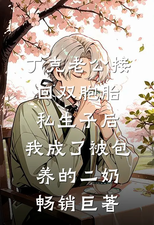 丁克老公接回双胞胎私生子后，我成了被包养的二奶畅销巨著