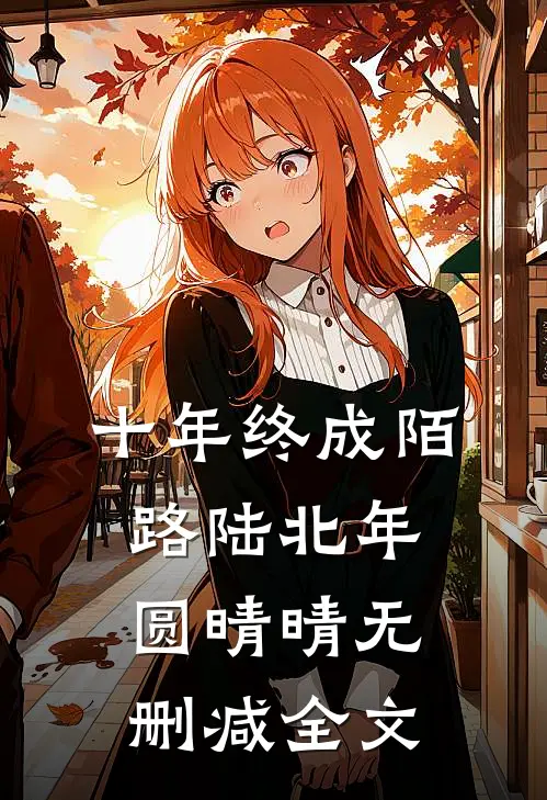 十年终成陌路陆北年圆晴晴无删减全文