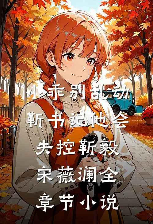 小乖别乱动，靳书记他会失控靳毅宋薇澜全章节小说